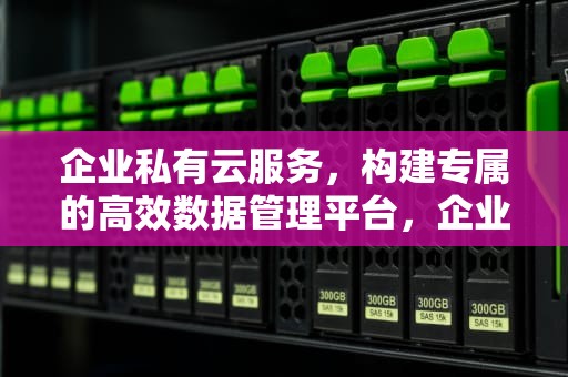 企业私有云服务，构建专属的高效数据管理平台，企业私有云服务器