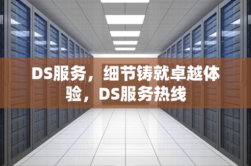 DS服务，细节铸就卓越体验，DS服务热线
