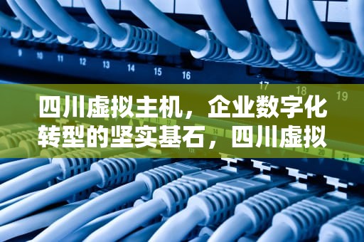 四川虚拟主机，企业数字化转型的坚实基石，四川虚拟主机生产厂家