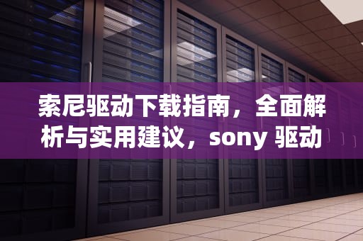 索尼驱动下载指南，全面解析与实用建议，sony 驱动下载