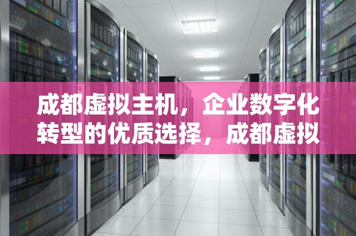 成都虚拟主机，企业数字化转型的优质选择，成都虚拟主机生产厂家