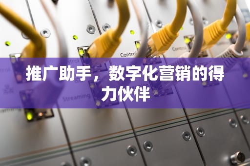 推广助手，数字化营销的得力伙伴