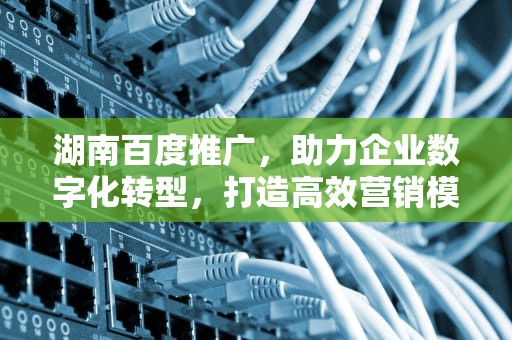 湖南百度推广，助力企业数字化转型，打造高效营销模式，湖南百度推广客服电话多少