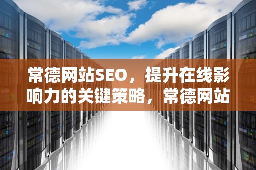 常德网站SEO，提升在线影响力的关键策略，常德网站建设策划方案