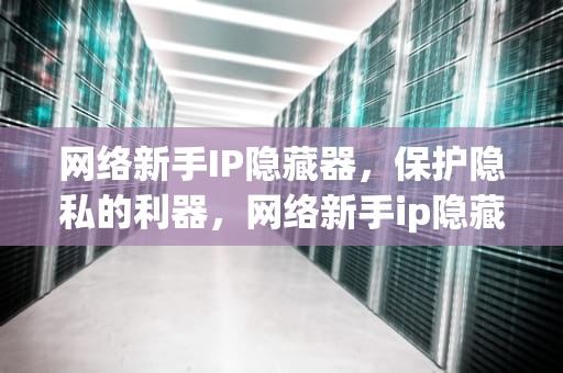 网络新手IP隐藏器，保护隐私的利器，网络新手ip隐藏器怎么用