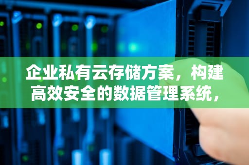 企业私有云存储方案，构建高效安全的数据管理系统，企业私有云存储方案怎么写