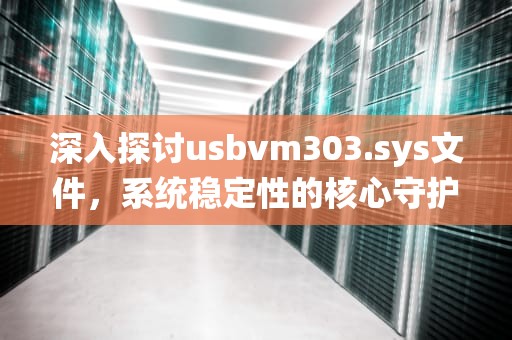 深入探讨usbvm303.sys文件，系统稳定性的核心守护者