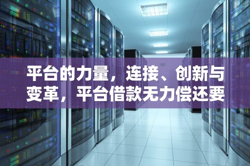 平台的力量，连接、创新与变革，平台借款无力偿还要如何解决