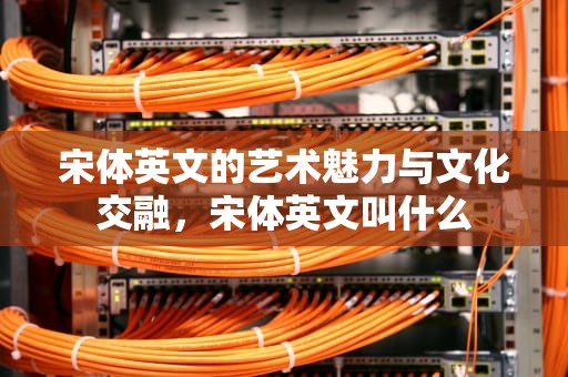 宋体英文的艺术魅力与文化交融，宋体英文叫什么