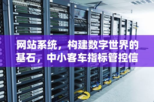 网站系统，构建数字世界的基石，中小客车指标管控信息管理网站系统