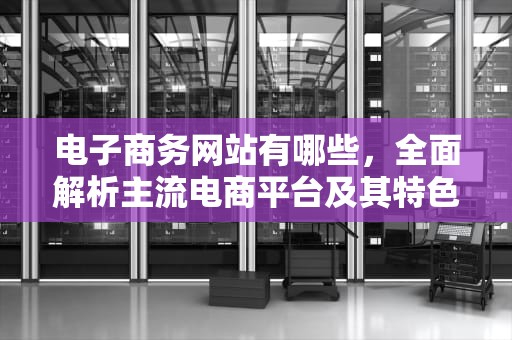电子商务网站有哪些，全面解析主流电商平台及其特色，电子商务网站有哪些特点