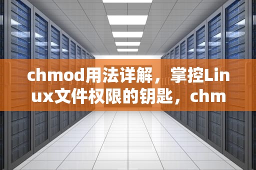chmod用法详解，掌控Linux文件权限的钥匙，chmod用法Linux