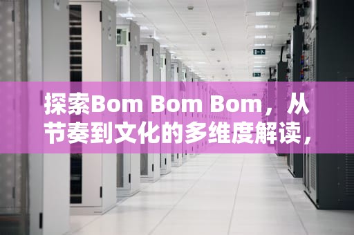 探索Bom Bom Bom，从节奏到文化的多维度解读，歌曲bombombom
