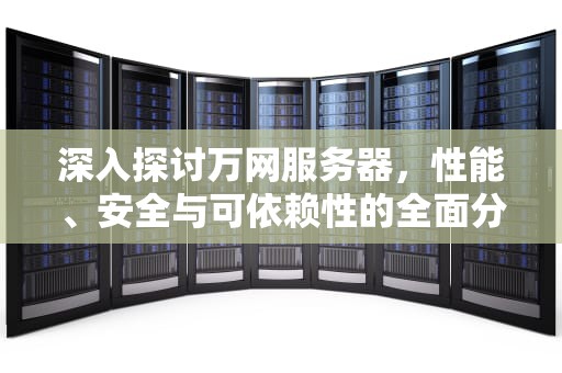 深入探讨万网服务器，性能、安全与可依赖性的全面分析，万网服务器租用