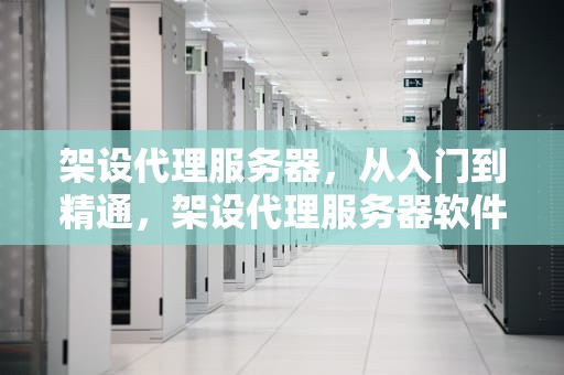 架设代理服务器，从入门到精通，架设代理服务器软件
