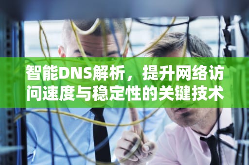 智能DNS解析，提升网络访问速度与稳定性的关键技术，智能dns解析原理