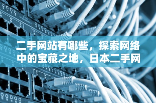 二手网站有哪些，探索网络中的宝藏之地，日本二手网站有哪些