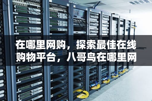 在哪里网购，探索最佳在线购物平台，八哥鸟在哪里网购