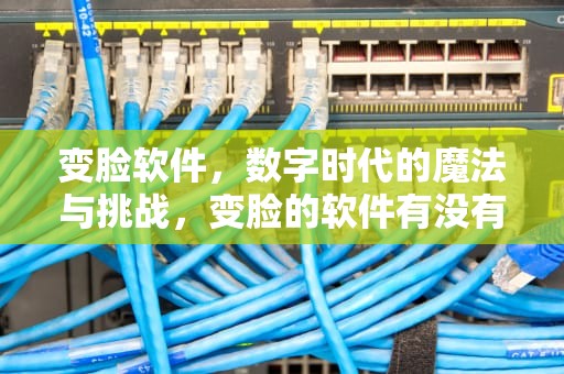 变脸软件，数字时代的魔法与挑战，变脸的软件有没有免费的