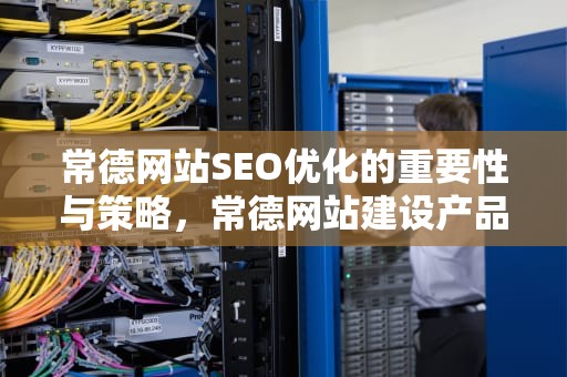 常德网站SEO优化的重要性与策略，常德网站建设产品