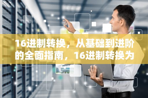 16进制转换，从基础到进阶的全面指南，16进制转换为二进制