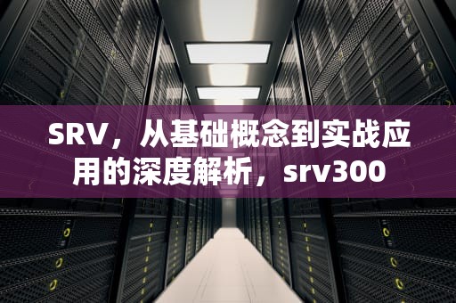 SRV，从基础概念到实战应用的深度解析，srv300