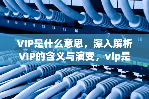 VIP是什么意思，深入解析VIP的含义与演变，vip是什么意思的缩写