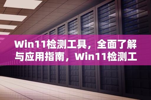Win11检测工具，全面了解与应用指南，Win11检测工具下载