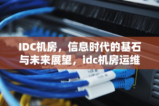 IDC机房，信息时代的基石与未来展望，idc机房运维