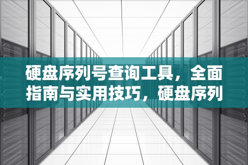 硬盘序列号查询工具，全面指南与实用技巧，硬盘序列号查询工具下载