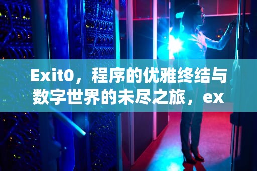 Exit0，程序的优雅终结与数字世界的未尽之旅，exit0在c语言中怎么用