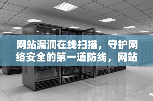 网站漏洞在线扫描，守护网络安全的第一道防线，网站漏洞在线扫描软件