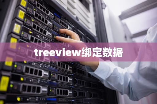 treeview绑定数据