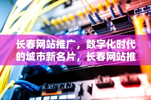长春网站推广，数字化时代的城市新名片，长春网站推广排名
