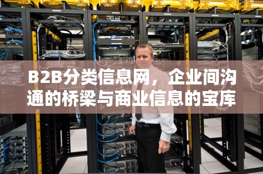 B2B分类信息网，企业间沟通的桥梁与商业信息的宝库，b2b分类信息网排行榜前10