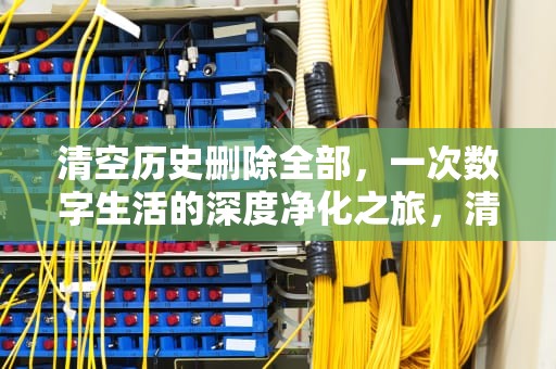 清空历史删除全部，一次数字生活的深度净化之旅，清空历史删除全部记录
