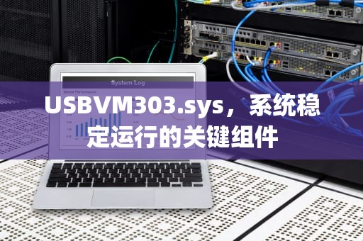 USBVM303.sys，系统稳定运行的关键组件