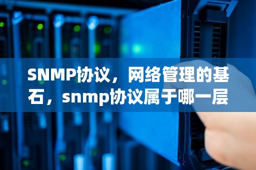SNMP协议，网络管理的基石，snmp协议属于哪一层