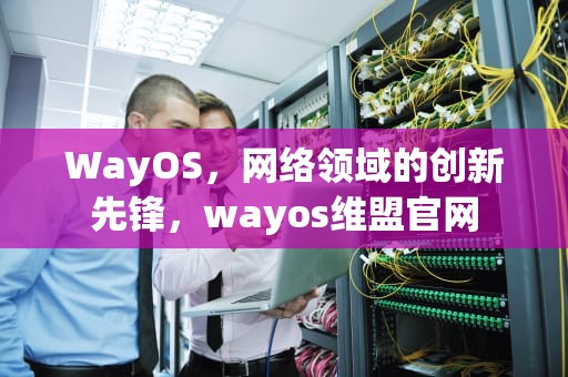 WayOS，网络领域的创新先锋，wayos维盟官网