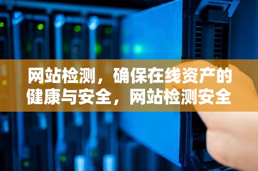 网站检测，确保在线资产的健康与安全，网站检测安全