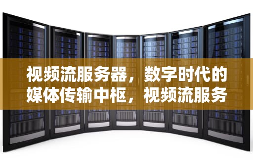 视频流服务器，数字时代的媒体传输中枢，视频流服务器搭建