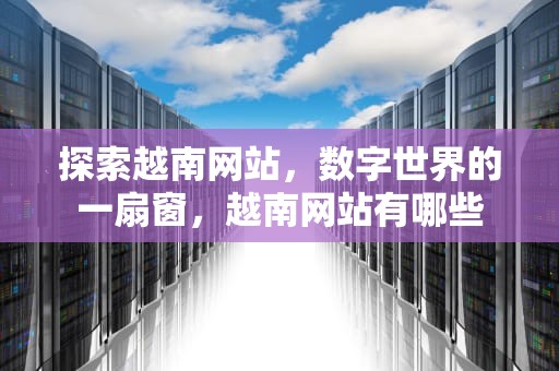探索越南网站，数字世界的一扇窗，越南网站有哪些