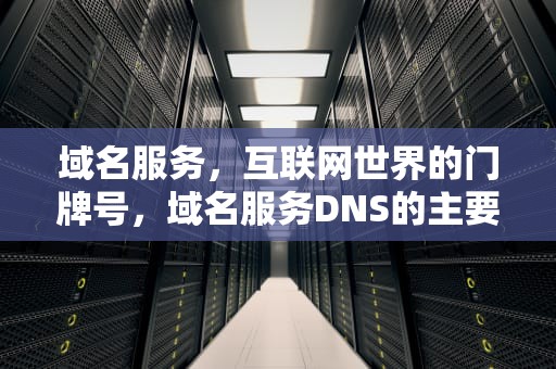 域名服务，互联网世界的门牌号，域名服务DNS的主要功能是