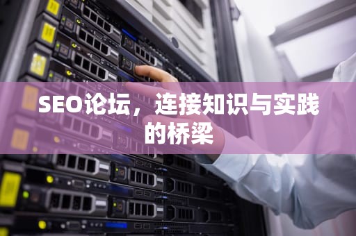 SEO论坛，连接知识与实践的桥梁