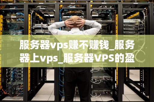 服务器vps赚不赚钱_服务器上vps_服务器VPS的盈利模式及其前景