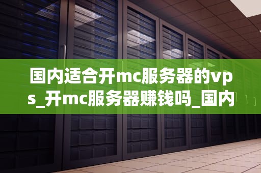 国内适合开mc服务器的vps_开mc服务器赚钱吗_国内适合开MC服务器的VPS推荐