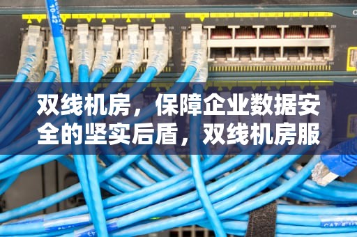 双线机房，保障企业数据安全的坚实后盾，双线机房服务部署原理