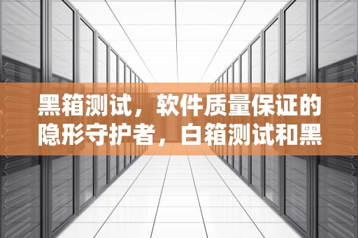 黑箱测试，软件质量保证的隐形守护者，白箱测试和黑箱测试