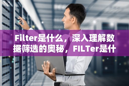 Filter是什么，深入理解数据筛选的奥秘，FILTer是什么牌子