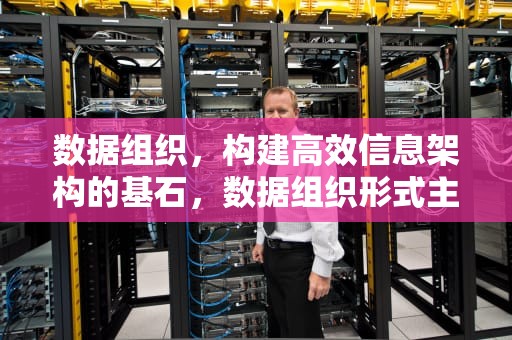 数据组织，构建高效信息架构的基石，数据组织形式主要有两种